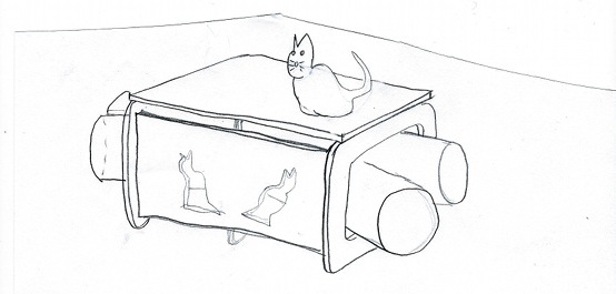 gato01