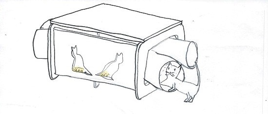 gato03