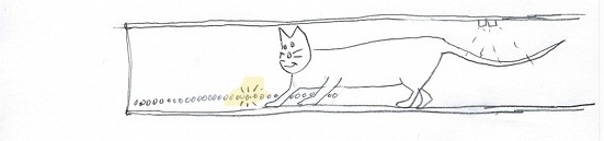 gato06