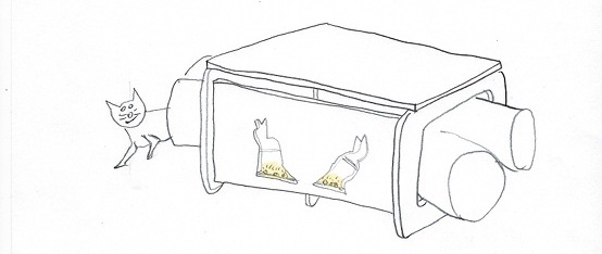 gato07