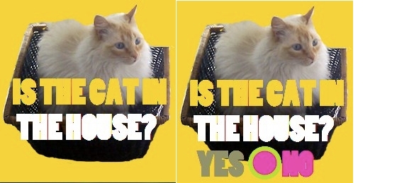 cat1