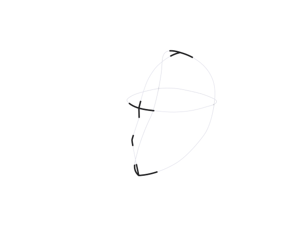 Wire mask 02