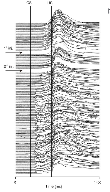 Eye Blink visualization