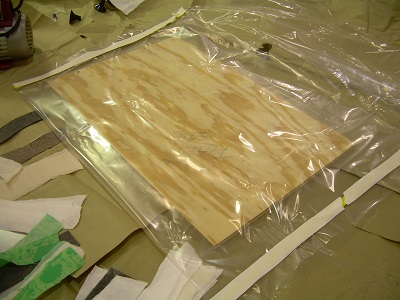 Vacuum Bag