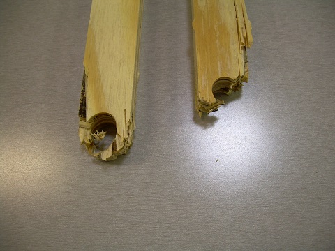 Mangled Ends