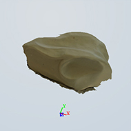 catch-test2.jpg
