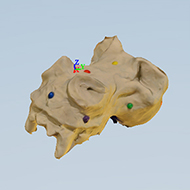 catch-test6.jpg