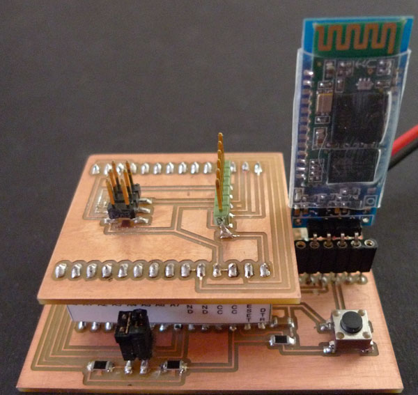 the board+ shields
