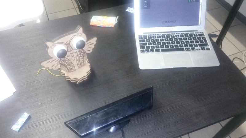 the owl to 3D scan