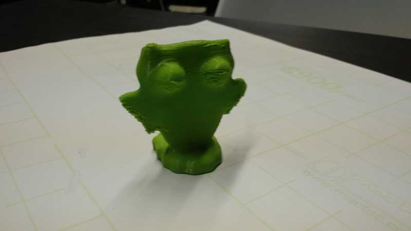 owl front view
