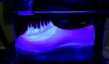 The Shoe