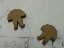 fasteners