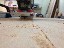 ShopBot doing its thing!