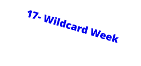 17- Wildcard Week