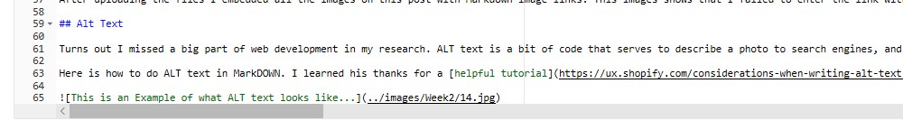 This is an Example of what ALT text looks like...