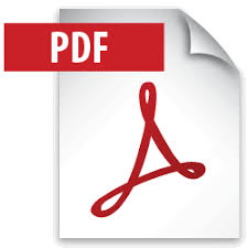 Project Plan in PDF