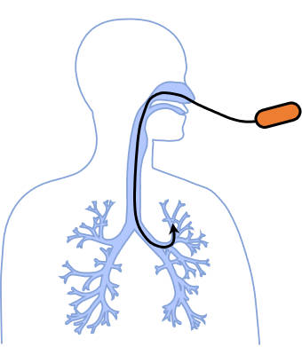 Endoscopy