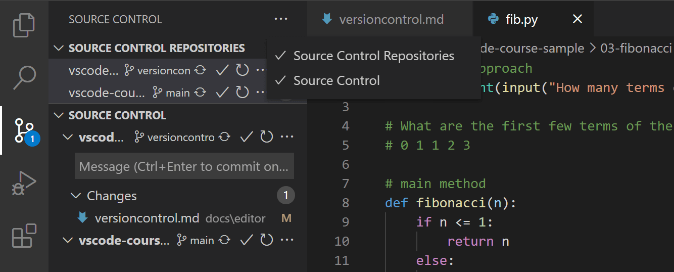 VScode source control