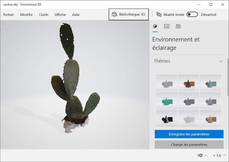 A 3D scanning of a cactus