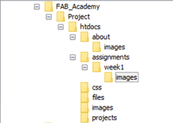 Screenshot of the local files structure