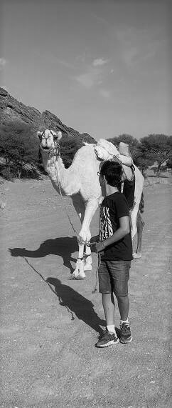 Guiding a camel through a Wadi