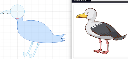 bird-drawing