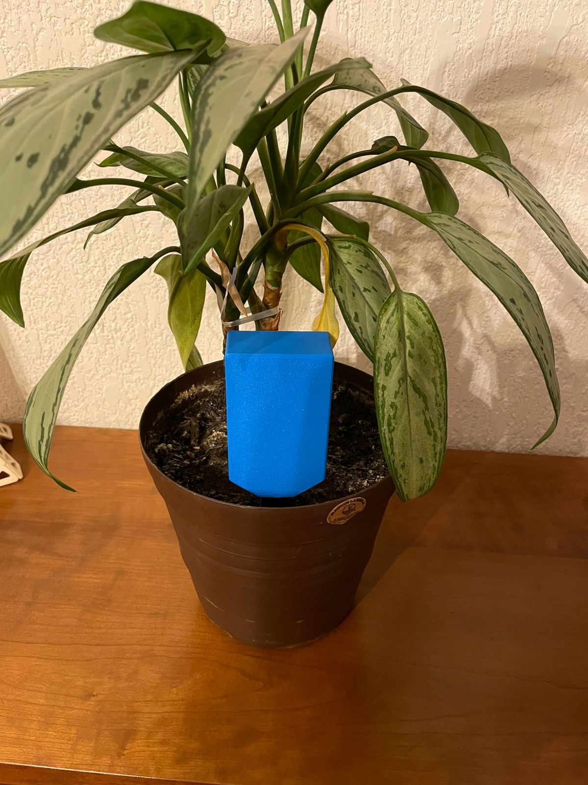 Inserted into plant pot