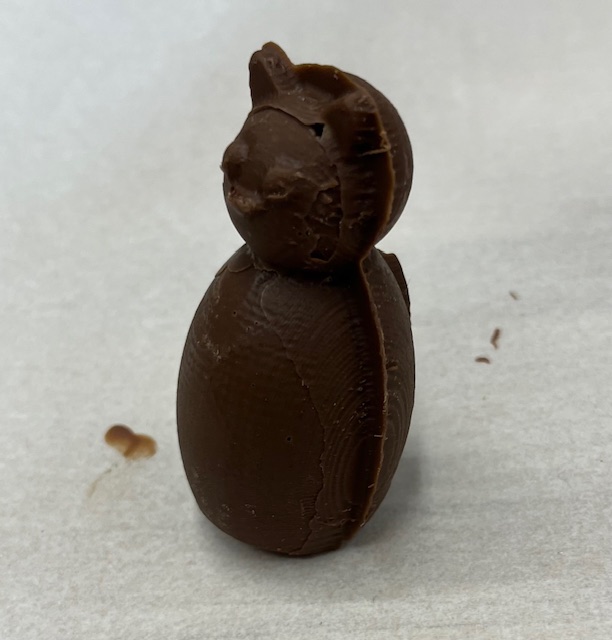 Front view of the chocolate cat