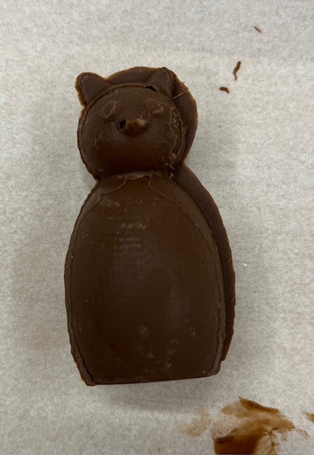 Top view of the chocolate cat