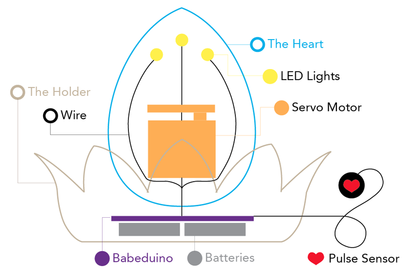 Holdable Heart Diagram