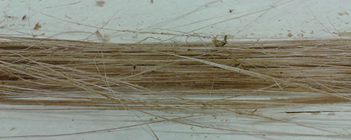 freshly scrapped flax