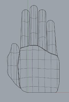 Rhino 3D hand
