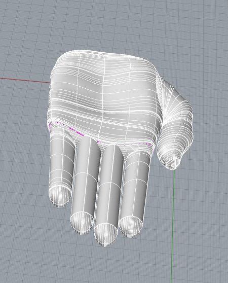 Rhino 3D hand