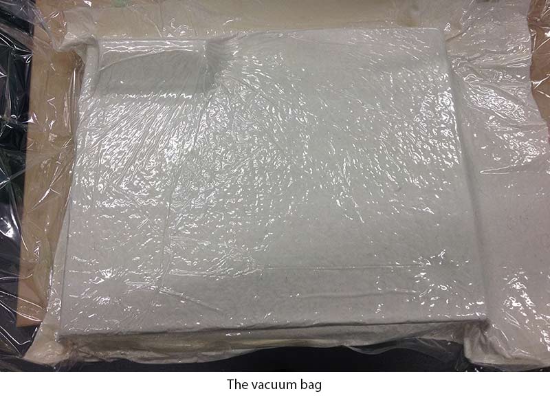 The vacuum bag