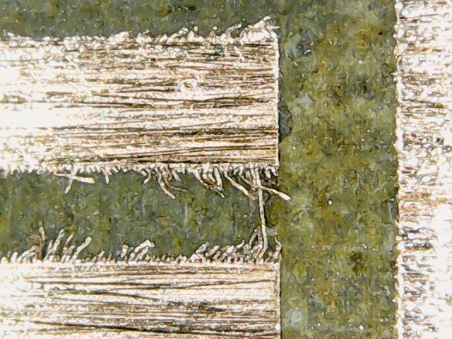 hairy copper