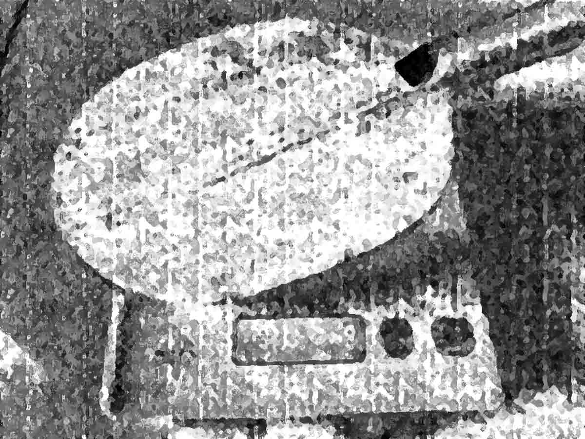 cover-image