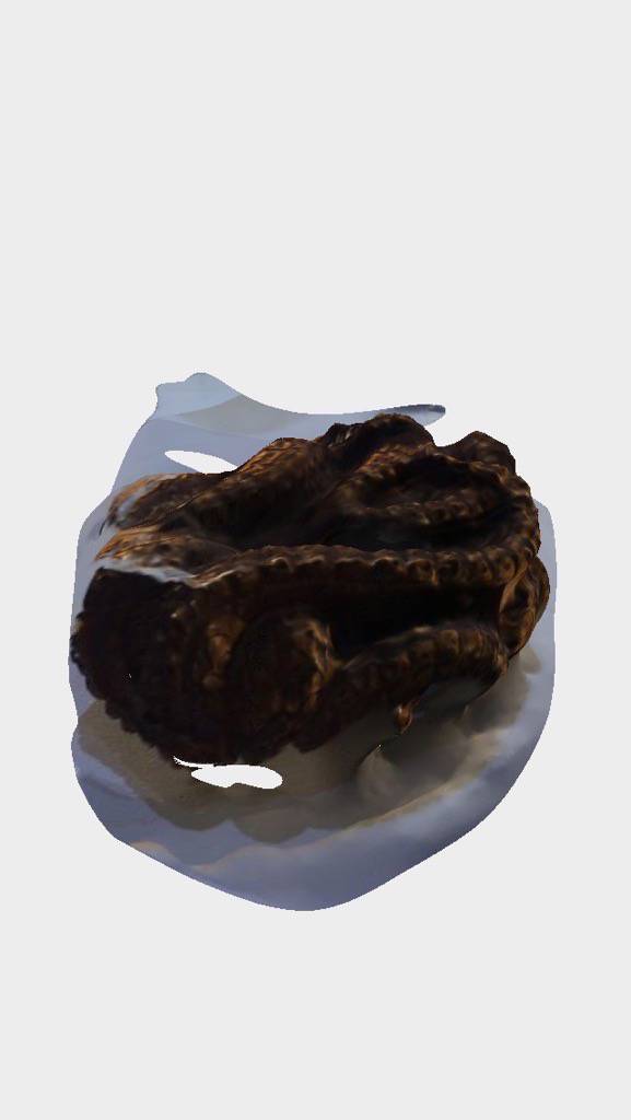 5_octo123d1