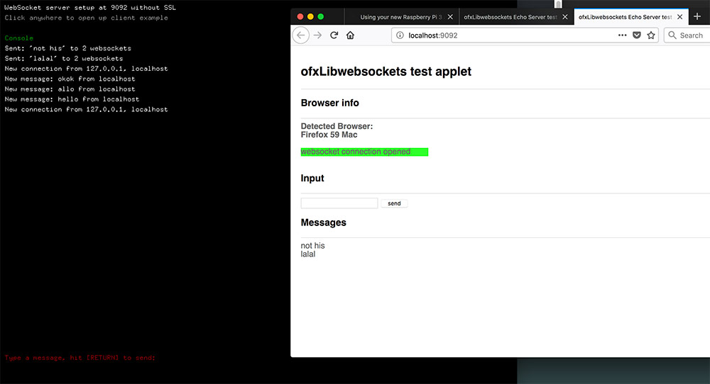 WebSocket test with ofxLibwebsockets