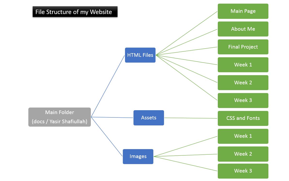 File Structure For Html System Project Week 2