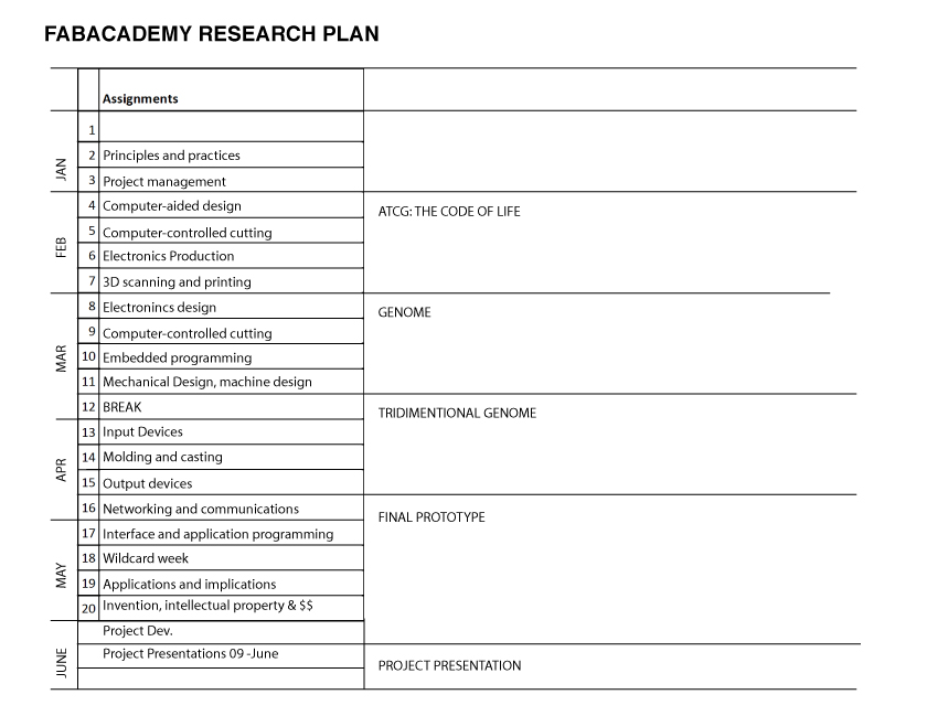 Final Project Plan