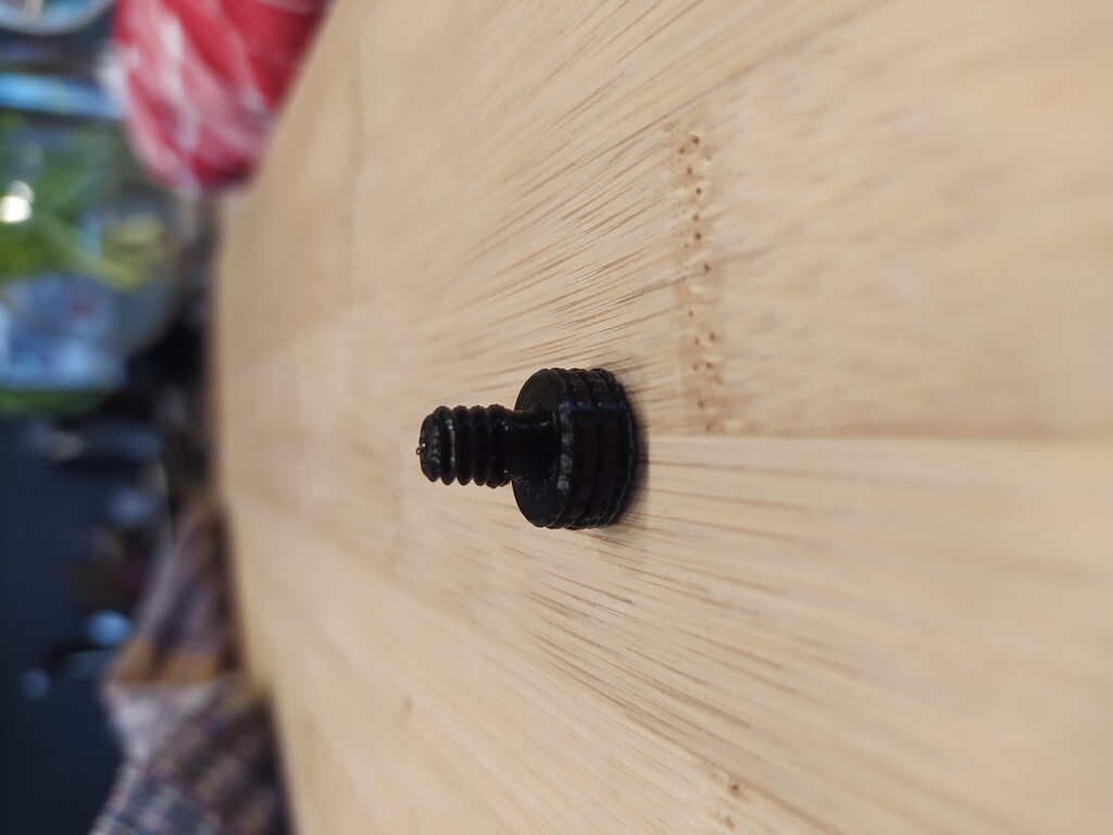 3D printed camera screw