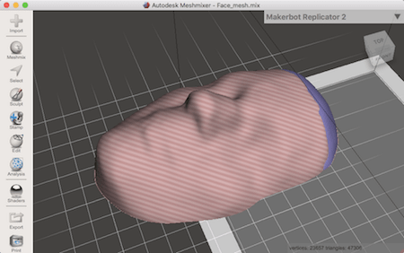 3D face model in Meshmixer