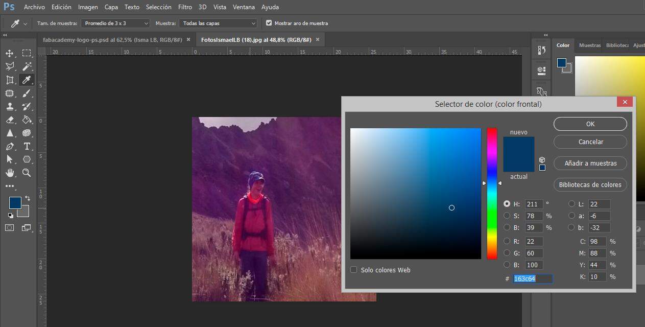 Screenshot of Photoshop color picker
