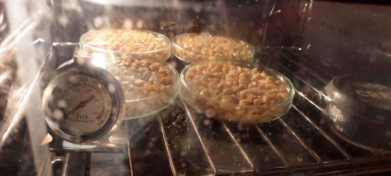 tempeh in oven