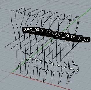 rhino_sections