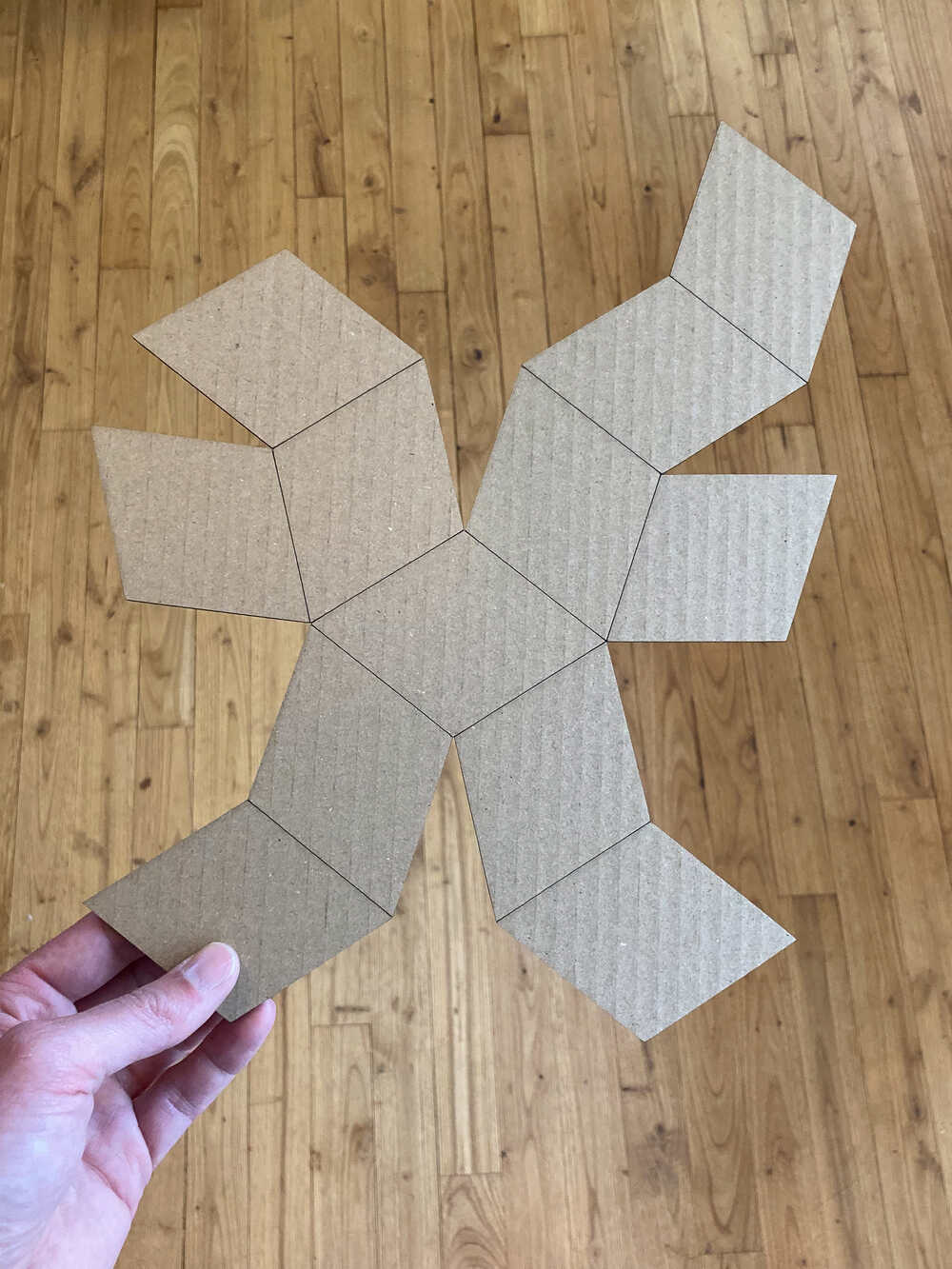 15_W/dodecahedron_net_cardboard.jpg