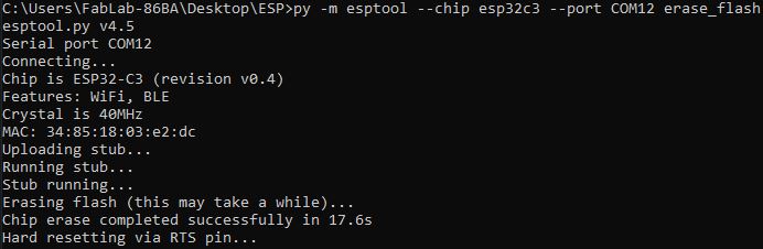 esp erasing flash