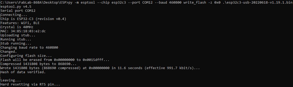 esp flashing