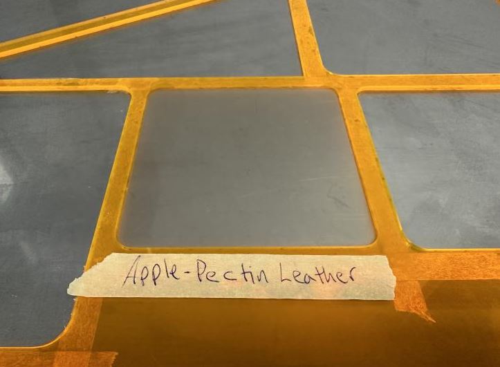 Apple-pectin leather in mold