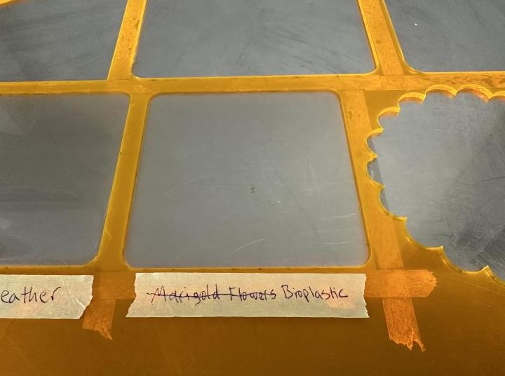 Marigold bio-plastic